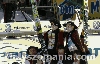 Filename=IS_IMG_3299.jpg
Filesize=126KB
Dimensions=640x410
Date added=Mar 21, 2011 IS_IMG_3299.jpg