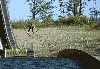Filename=Thomas_Morgenstern_6287.jpg
Filesize=290KB
Dimensions=640x446
Date added=Mar 04, 2012 Thomas_Morgenstern_6287.jpg